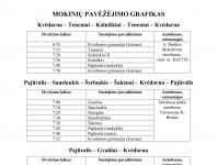 Pavezejimas_1.jpg