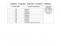 Pavezejimas_3.jpg