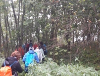 dofe1.jpg